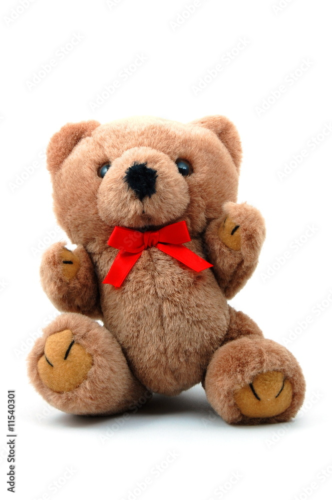 Fototapeta premium teddy bear isolated on white background
