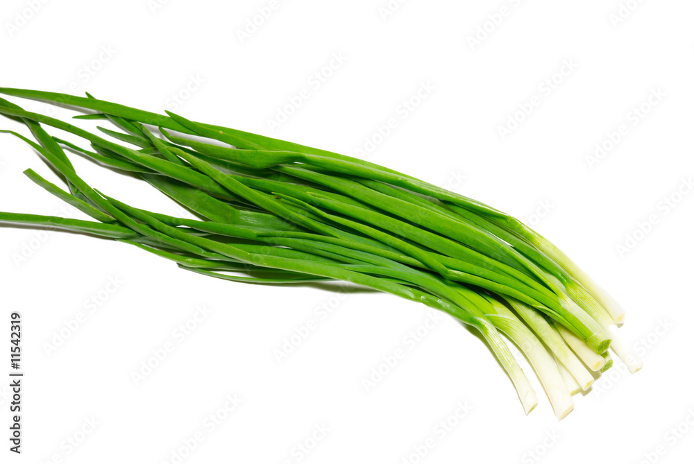 Green fresh onions isolated on white. Green fresh onions isolated on white.