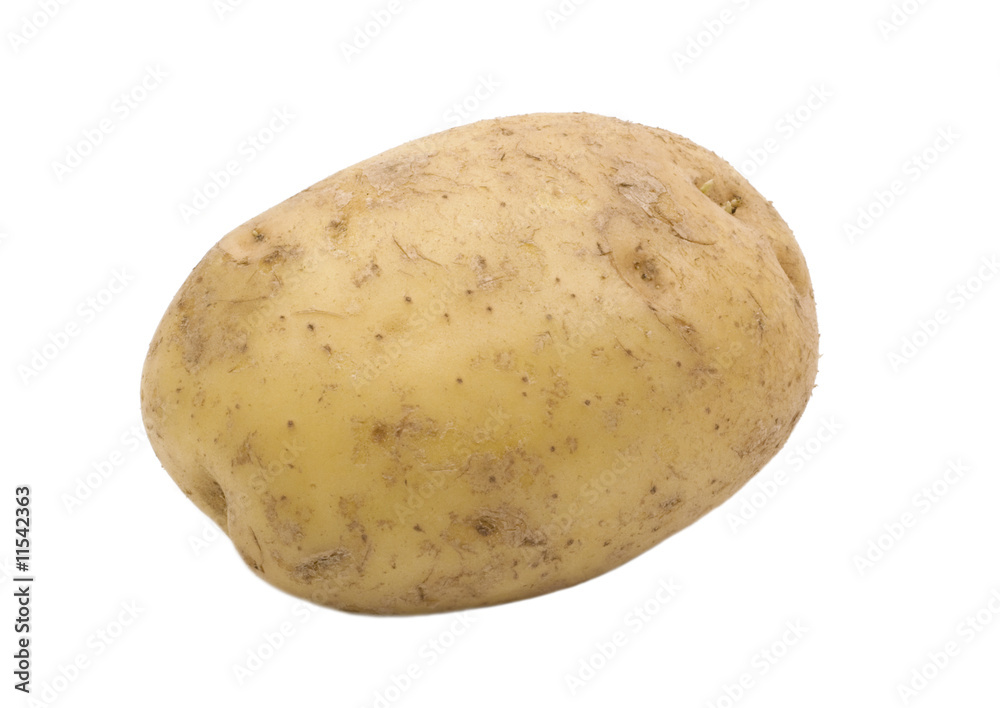 single potato isolated on white background single potato isolated on white background