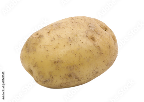 single potato isolated on white background