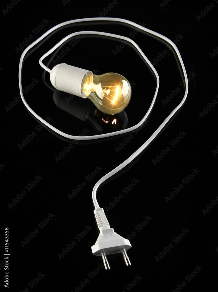 Fototapeta premium bulb