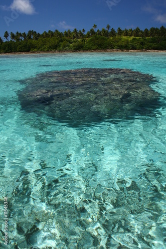 Corallo in laguna di un atollo