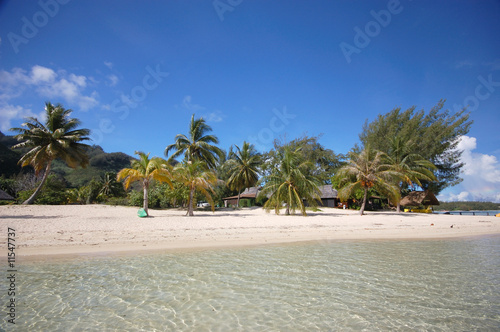 White sand beach, Moorea, French Polynesia