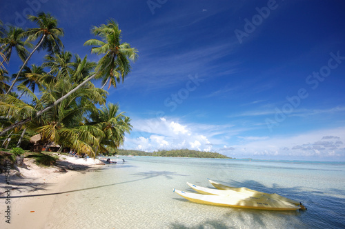 Yellow kayaks  white sand beach  Moorea  French Polynesia