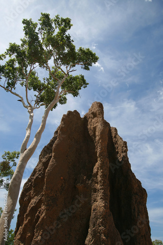 Termite Mound Australian Outback
