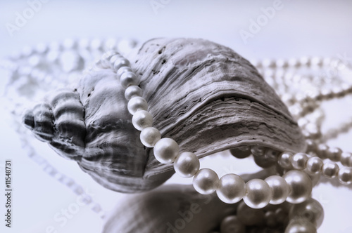 Perlenkette mit Muschel