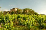 Weingut in der Provence