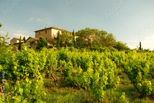 Weingut in der Provence