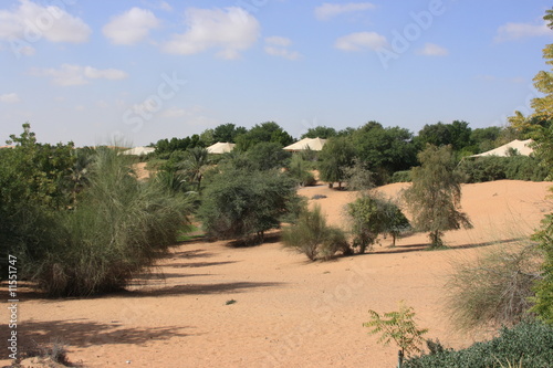 Desert Resort