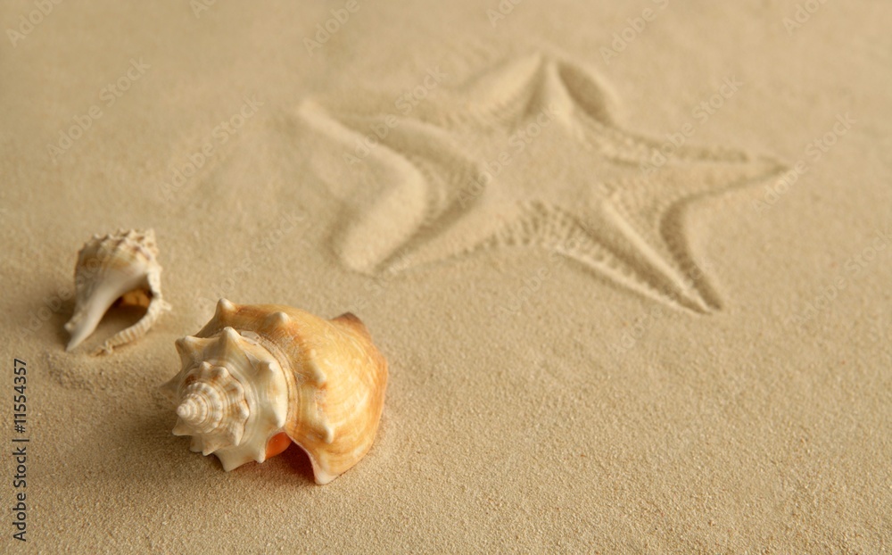 Starfish footprint over caribbean sand Starfish footprint over caribbean sand