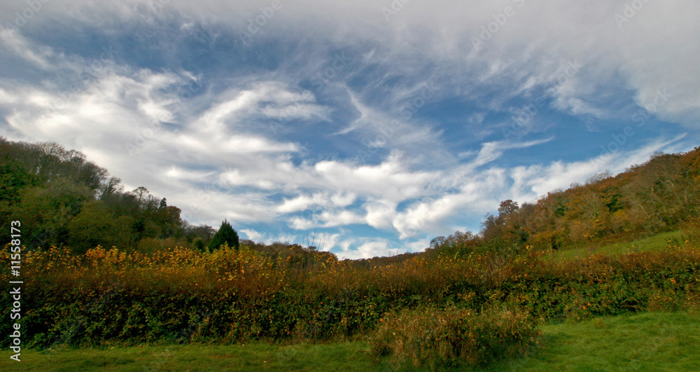 clouds over autumn meadow