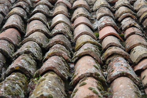 Roof tiles © Berni