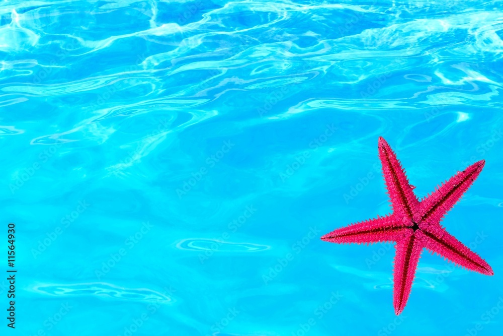 .Blue water in swimming pool .Blue water in swimming pool