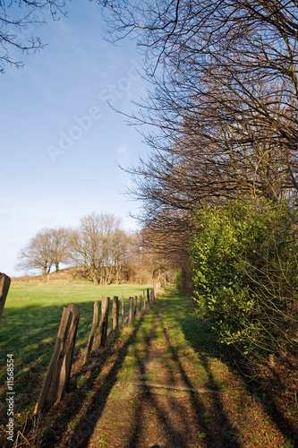 Weg auf den Haarberg