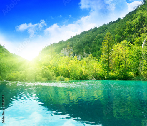 lake in deep forest