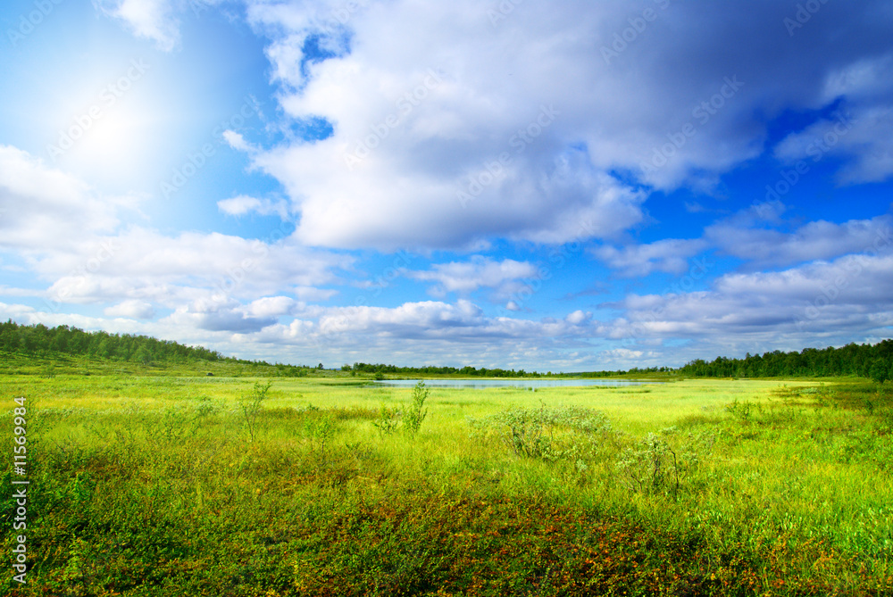 grass and north mountain