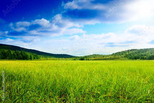 grass and north mountain © Iakov Kalinin