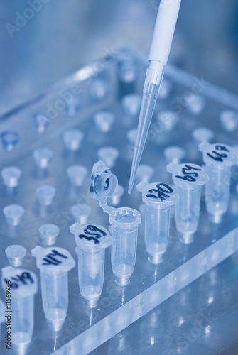 research in laboratory