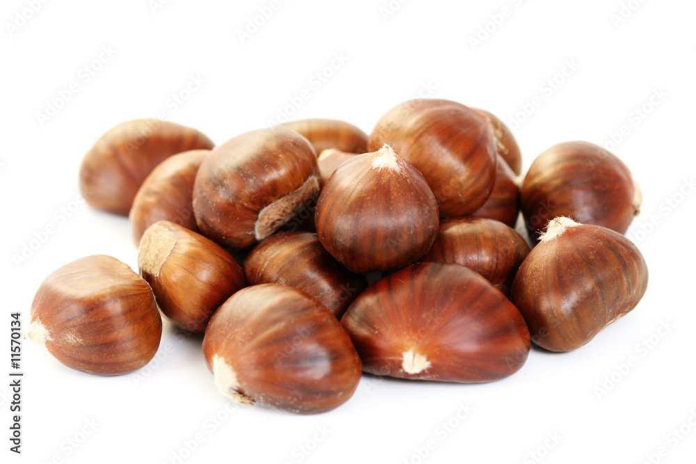 edible chestnuts edible chestnuts