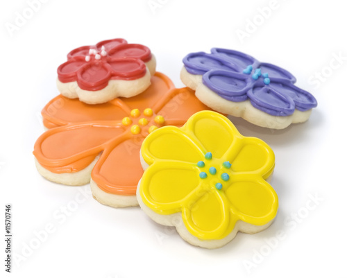 Freshly Baked Spring Flower Gourmet Cookies