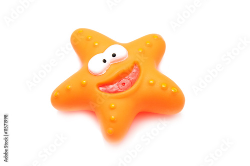 orange sea star isolated on white