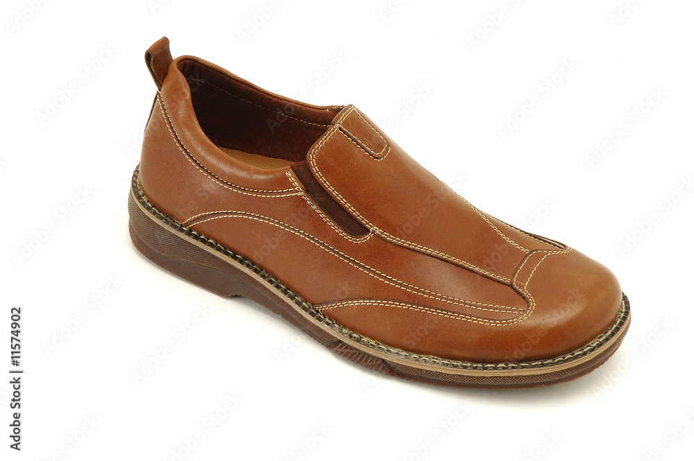shoe shoe