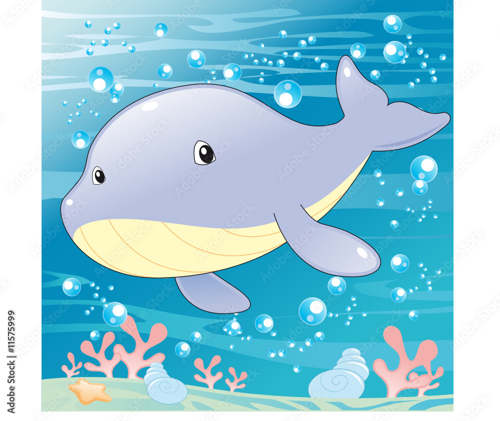 Baby Whale Baby Whale