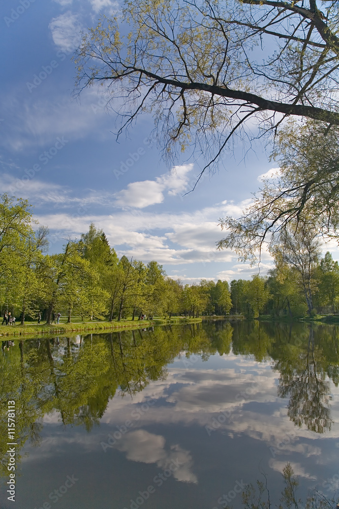Fototapeta premium sky reflection in pond