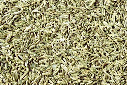 fennel seeds as spice or herb