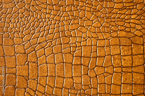 Brown snakeskin or crocodile texture for background