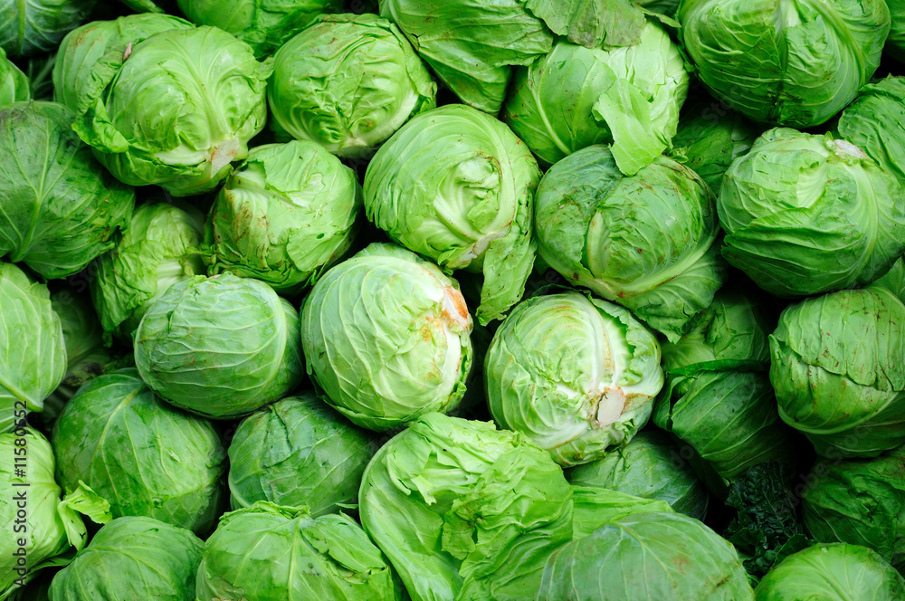 Cabbages Cabbages