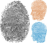 identity fingerprint