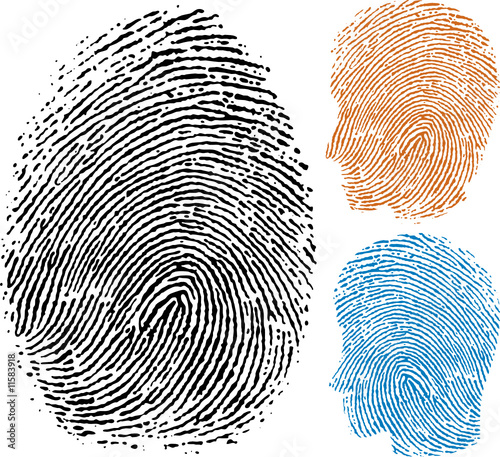 identity fingerprint
