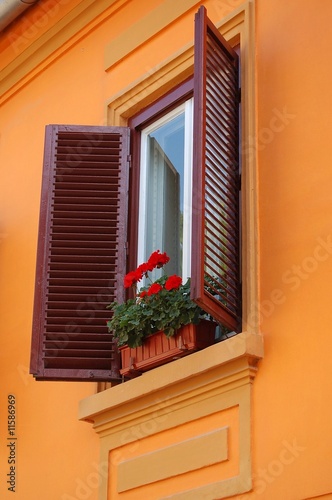 Open Window