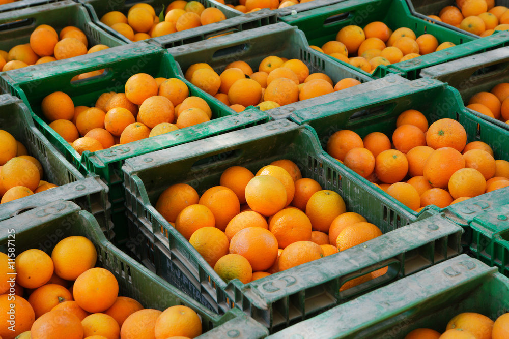 oranges in containers