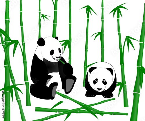 Fototapeta Naklejka Na Ścianę i Meble -  Chinese Giant Panda Eating Bamboo Shoots