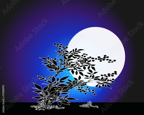 Oriental Plant against the moon