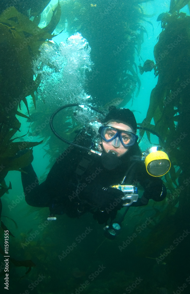 Underwater Photographer in Catalina Vertical Underwater Photographer in Catalina Vertical