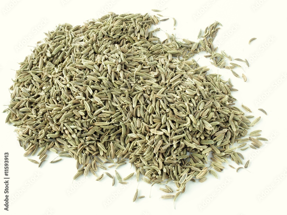 seeds of fennel as herb,spice or natural medicine seeds of fennel as herb,spice or natural medicine