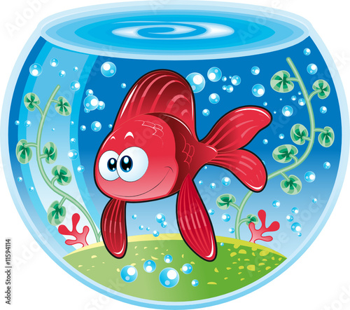 Baby fish in water