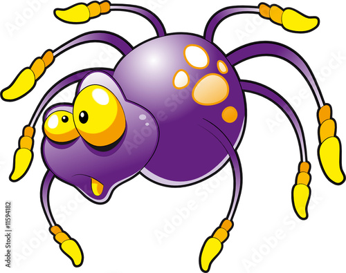 Baby Spider