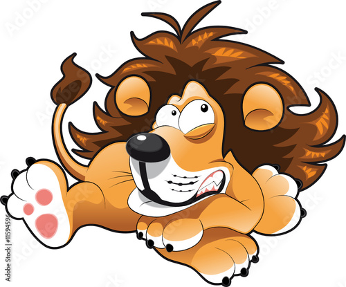 Baby lion
