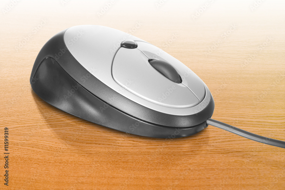 Computer mouse
