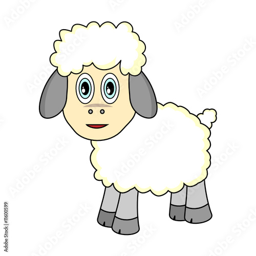 Cute Looking Sheep
