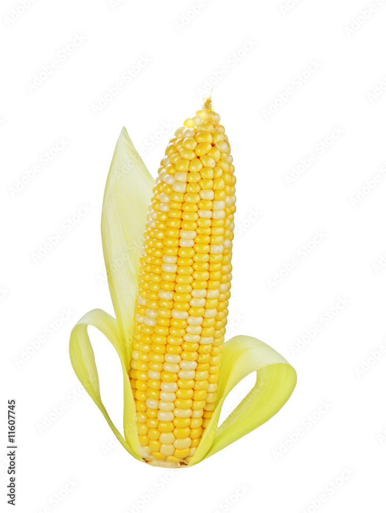 Corn on cob Corn on cob