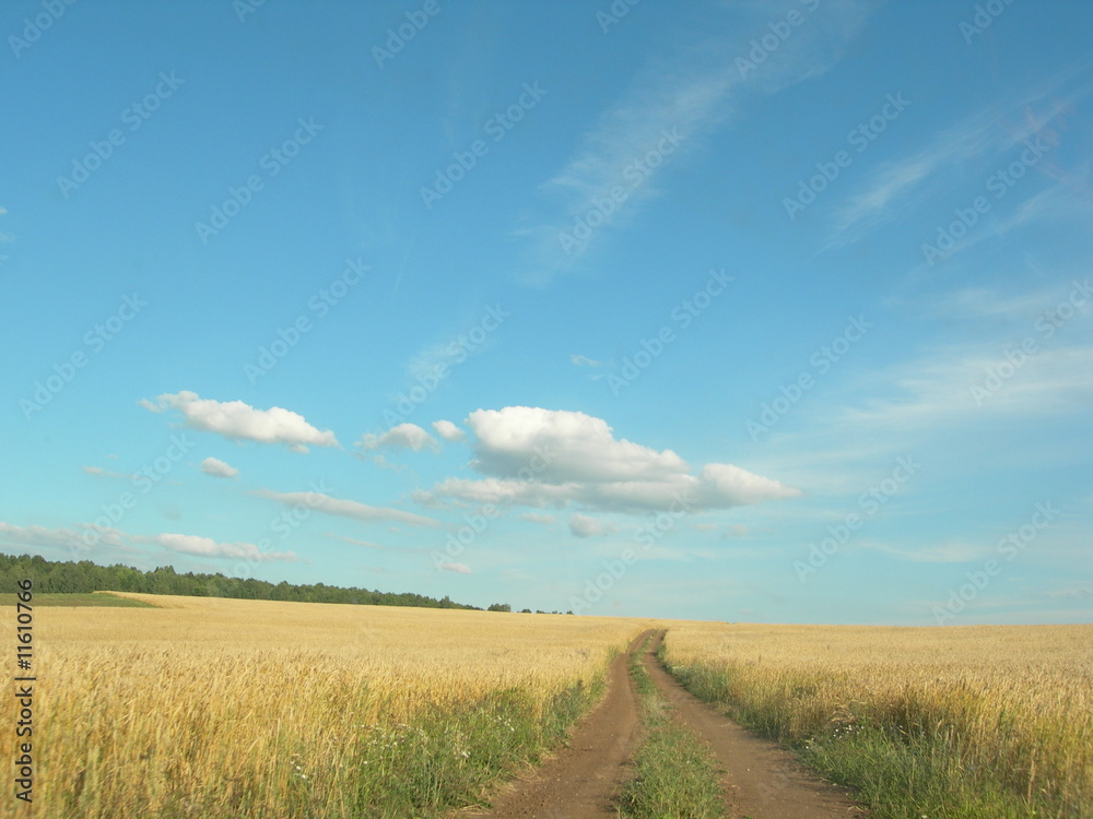 Fototapeta premium Russian fields