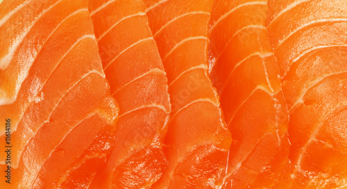 Fresh salmon