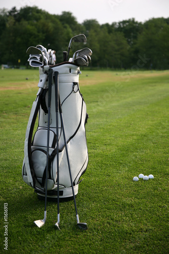 Golf-clubs with bag. Focus on bag.