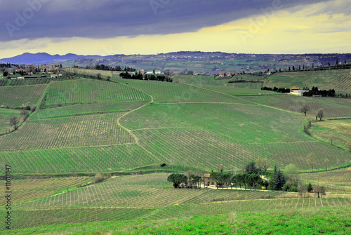 Vineyards near Imola Italy © claudiozacc