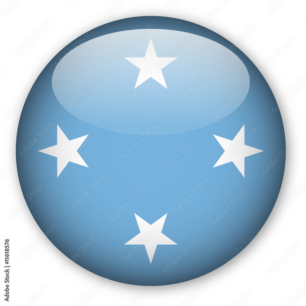 Federated States of Micronesia Flag button Federated States of Micronesia Flag button